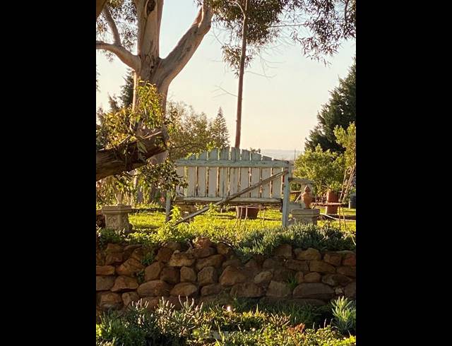 M² FARM FOR SALE IN WINDMEUL